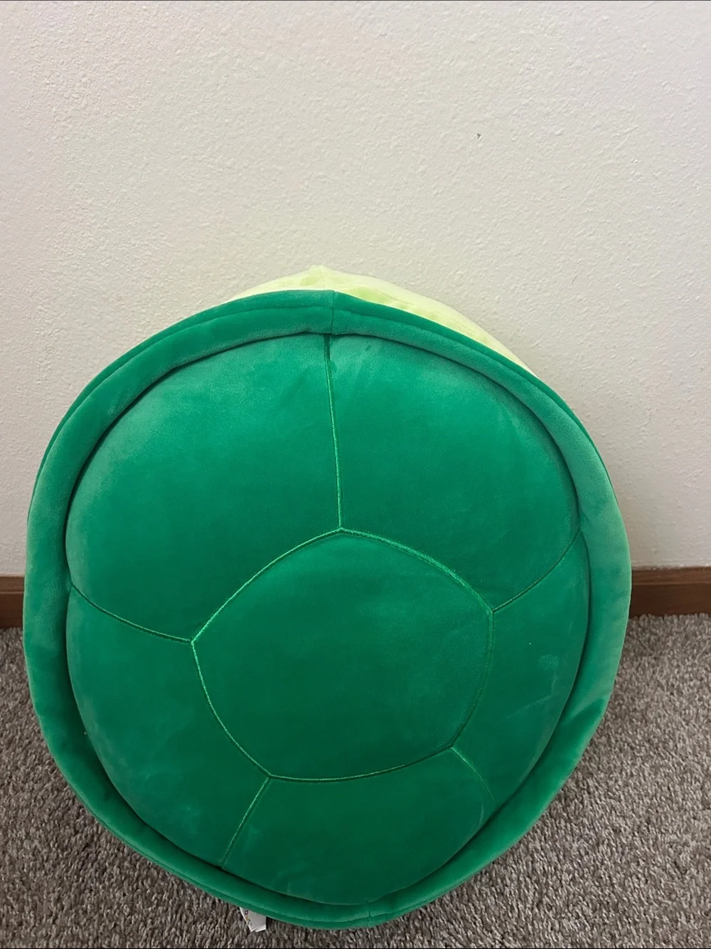 Squishmellow Henry The Turtle “12